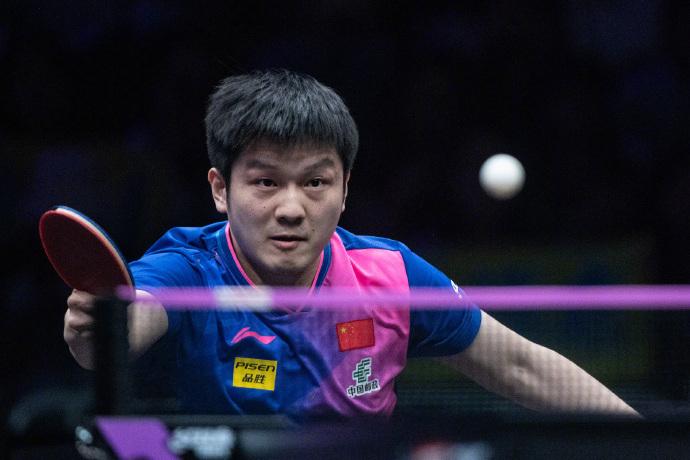 樊振东力克王楚钦问鼎WTT重庆冠军赛男单冠军